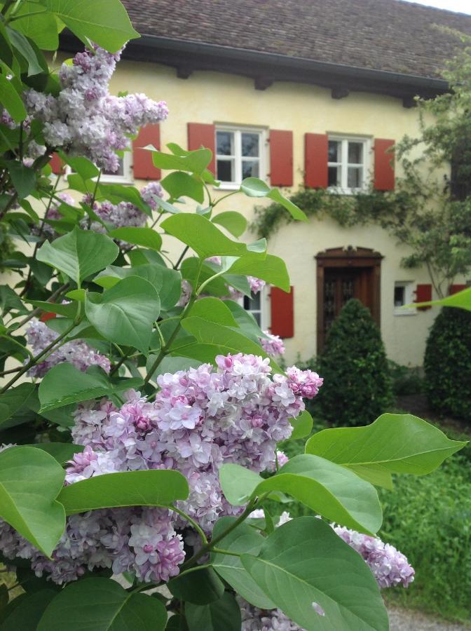Haus Probst Am See Bed & Breakfast Schondorf am Ammersee Exterior photo