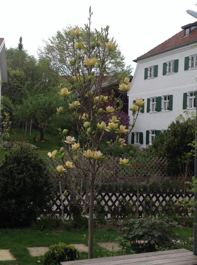 Haus Probst Am See Bed & Breakfast Schondorf am Ammersee Exterior photo